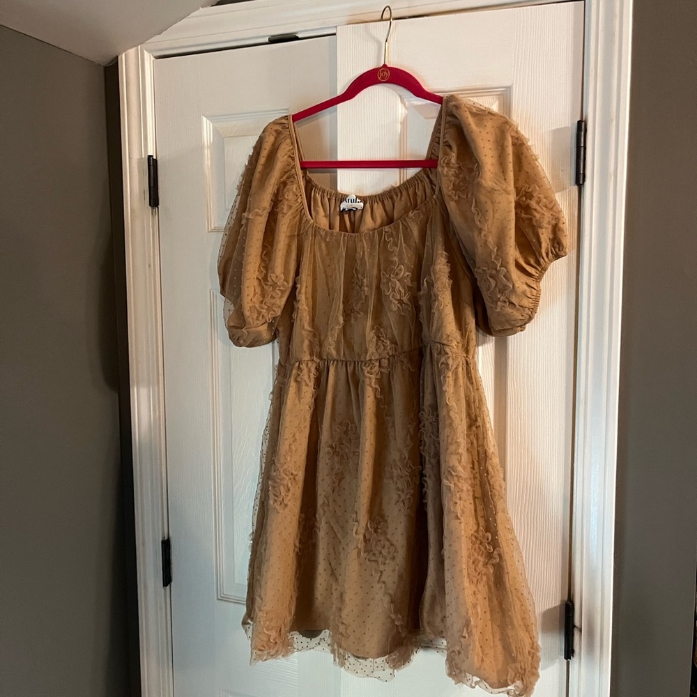 Puff Sleeve Ruffled Mini Dress